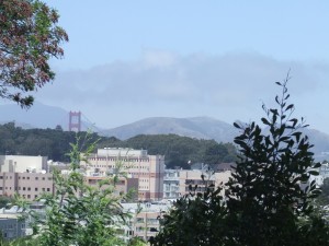 DSCF8511
