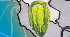 EastSalinastouricon