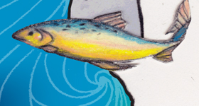 Eurekatouricon